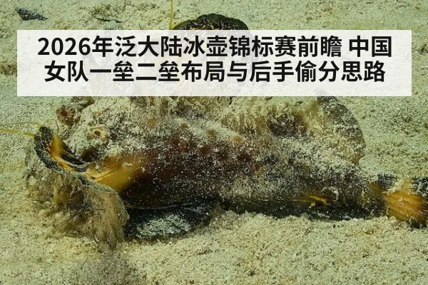 2026年泛大陆冰壶锦标赛前瞻 中国女队一垒二垒布局与后手偷分思路